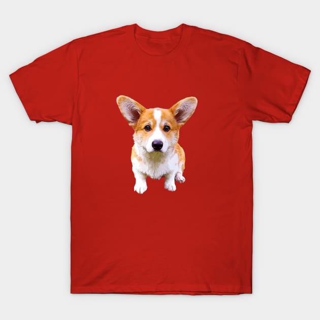 Corgi Puppy Sitting Red and White Pembroke Welsh Corgi T-Shirt by ElegantCat